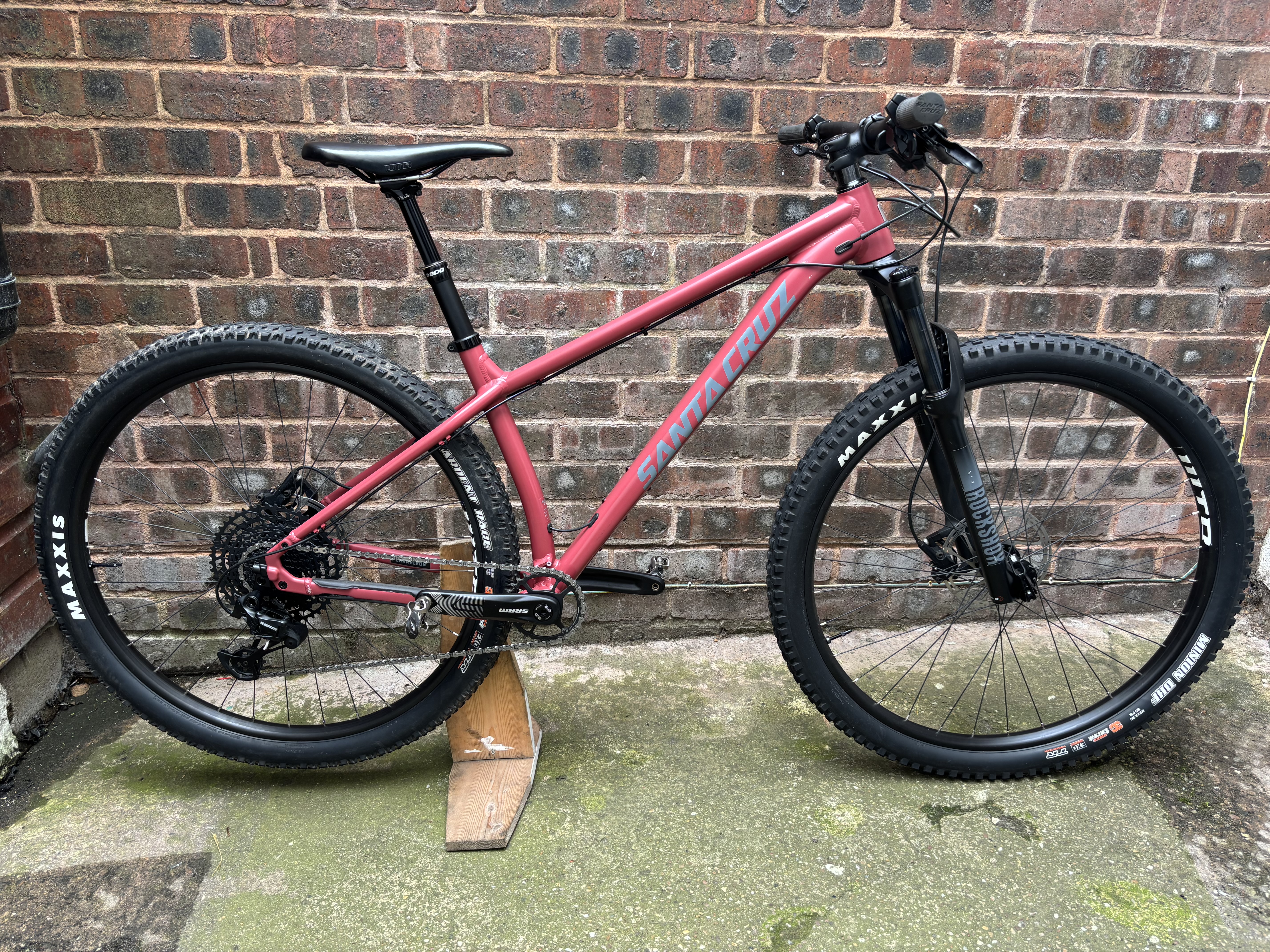 Santa Cruz Chameleon